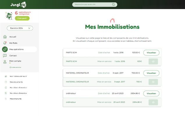 Immobilisations
